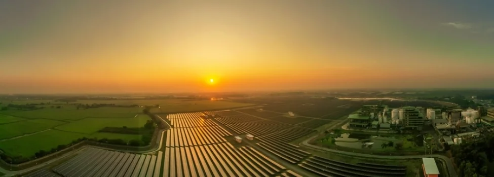 La-culture-du-riz-en-systemes-agro-sylvo-pastoraux
