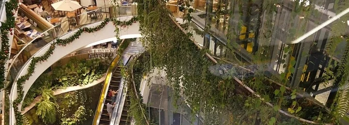 batiments-commerciaux-ecologiques