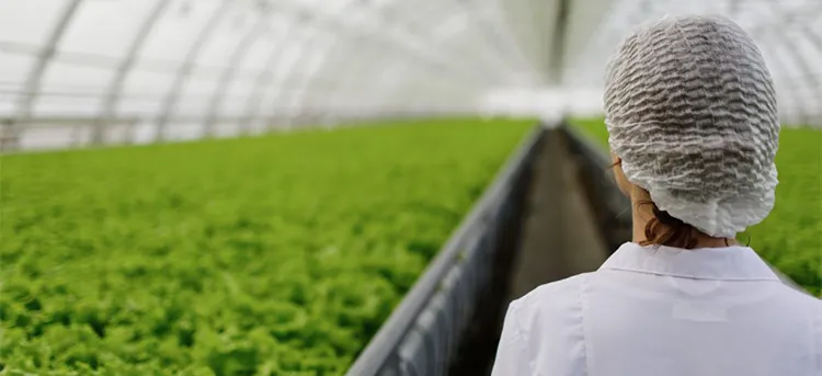 Nos-prestations-pour-lagroalimentaire